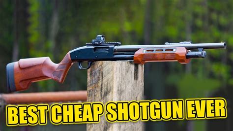 are there good inexpensive shotguns